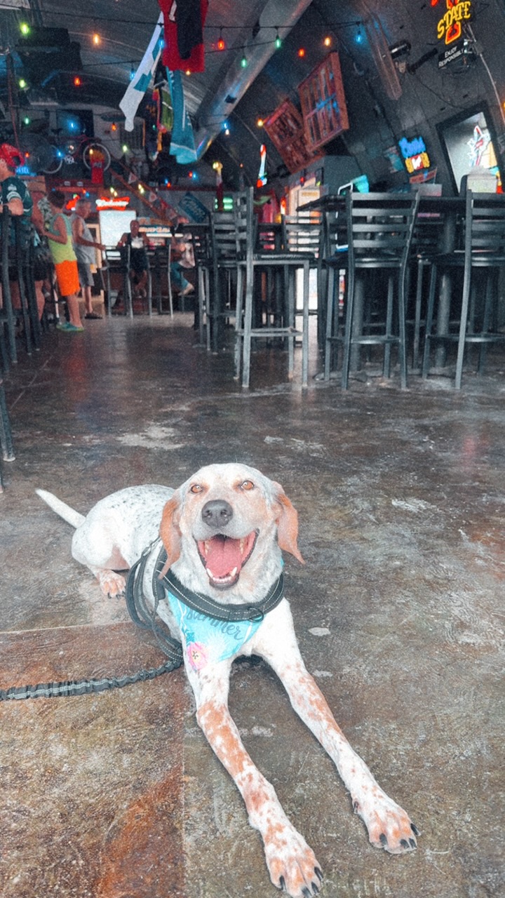 CjQKMFNuYXBjaGF0LzEzLjUwLjAuNTIgKGlQaG9uZTE3LDE7IGlPUyAxOC41OyBnemlwKSAC